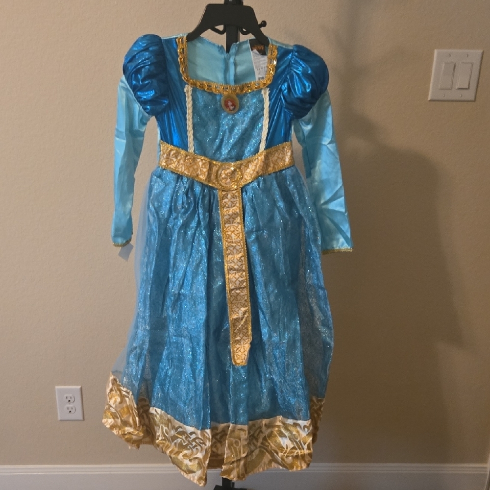 Blue and Gold Theater Princess Costume